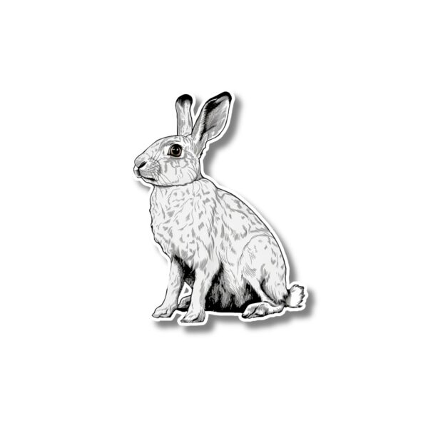 Arctic Hare Sticker. These stickers are made with printable vinyl with a vinyl top coat that is scratch-resistant and water resistant. Put one on your phone case, laptop, iPad, hard cooler; the possibilities are endless.
